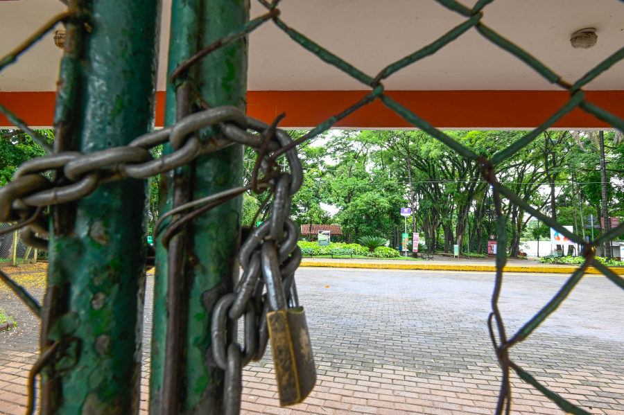 Campinas fecha parques e suspende visitação na Mata de Santa Genebra devido às chuvas